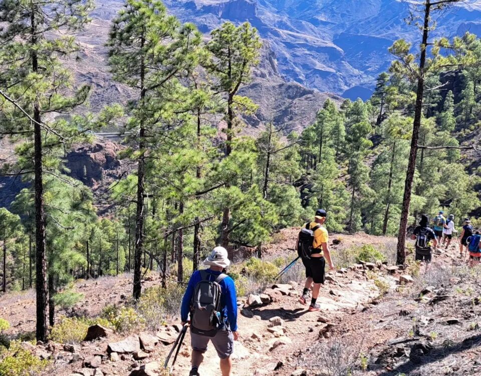Trekking en Canarias - Bereber Aventura